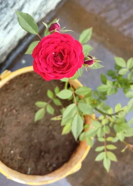 Beautiful Nature image