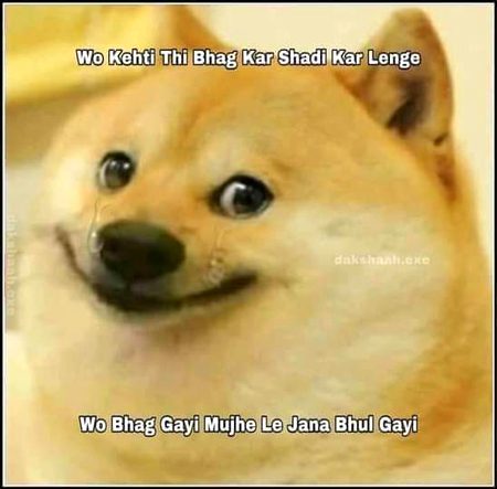 Memes & Satire image