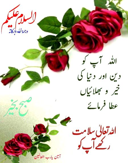 Asslam O Alikum To All Sweet dd family 🌹 Aameen ❣️