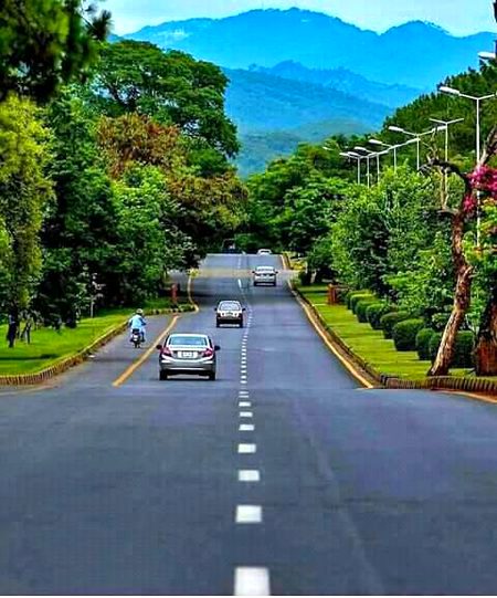 Beautiful Nature image