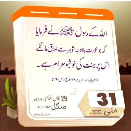 Islamic Quotes image