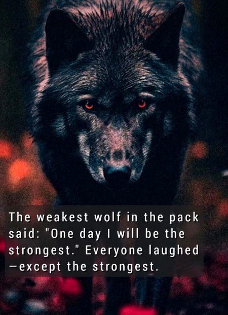 Motivational Quotes image