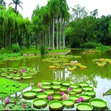 BEAUTIFUL NATURE