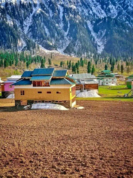 Beautiful Nature image