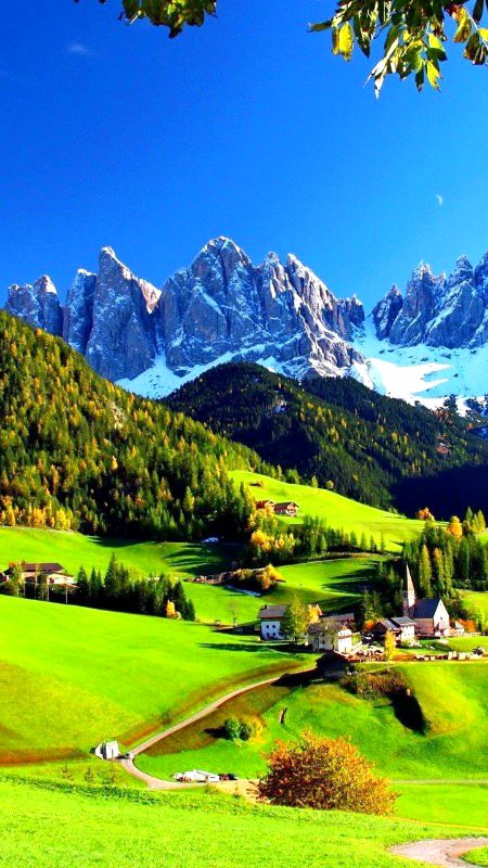 Beautiful Nature image