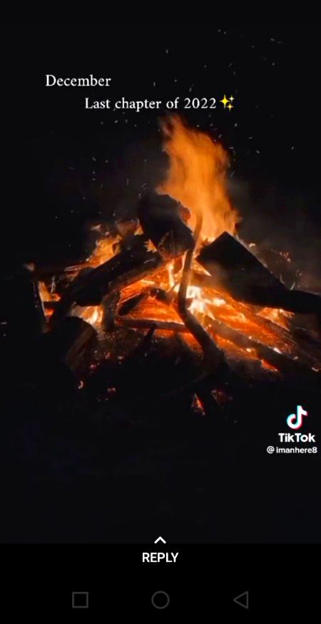 🌹🌹Bye bye December 🌹🌹🌹