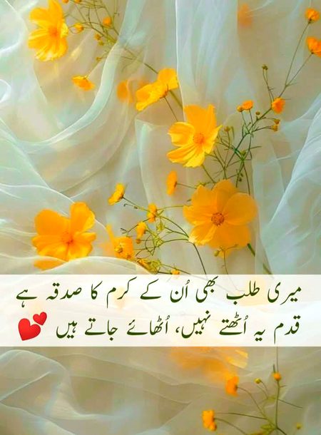 ہم بھلاتے ہیں انہیں اور وہ یاد آئے جاتے ہیں 💐🍁