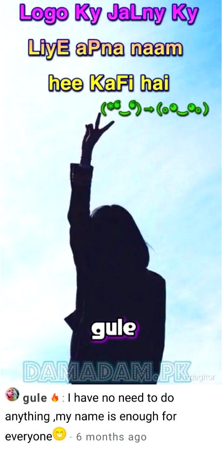 Attitude Quotes image