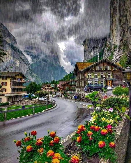 Beautiful Nature image