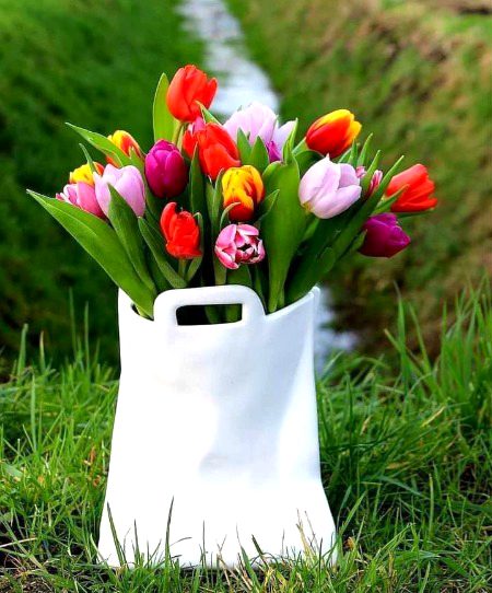 Beautiful Nature image