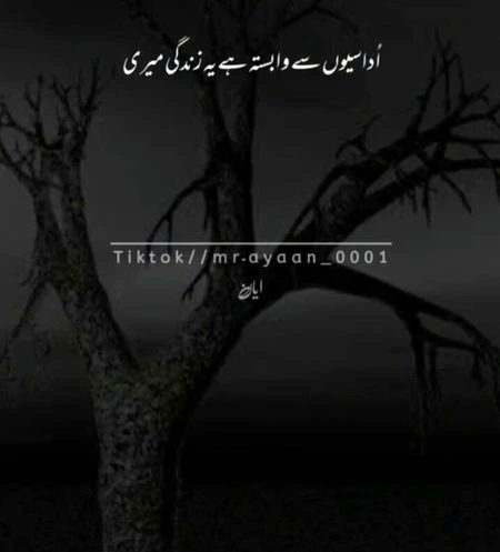 Sad Poetry image