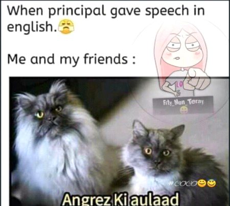 Memes & Satire image