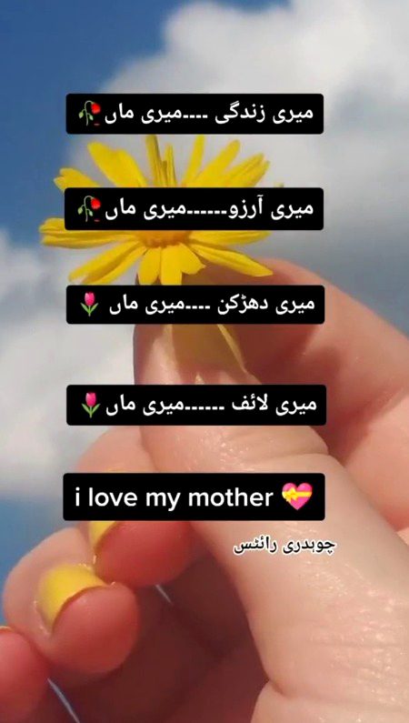 ❤️❤️❤️❤️