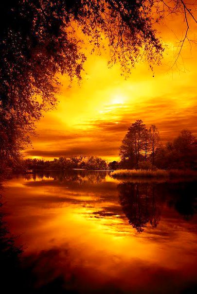 Beautiful Nature image