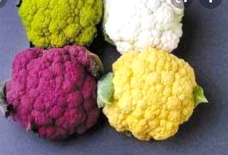 Beautiful Nature image