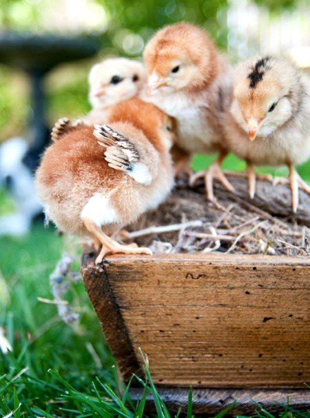 Beautiful Nature image