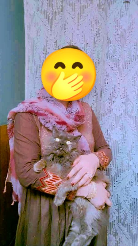 یہاں تو زمین کے ٹکڑے پہ جنگ ہوتی ہے
میں تو پھر چاند کا ٹکڑا ہوں خُدا خیر کرے🤭🤍👀❤️
✨ جھلی کڑی ✨