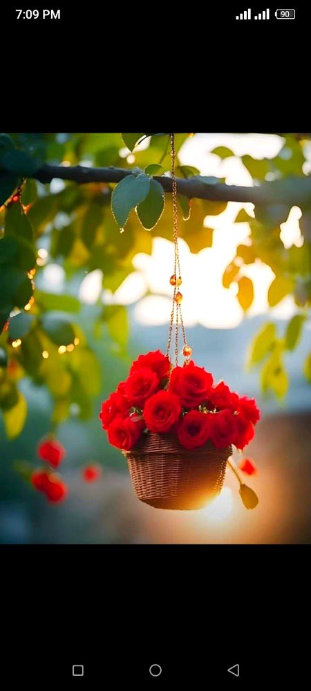 Beautiful Nature image