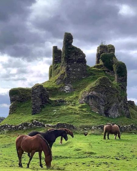 Beautiful Nature image