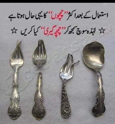 Life Advice image