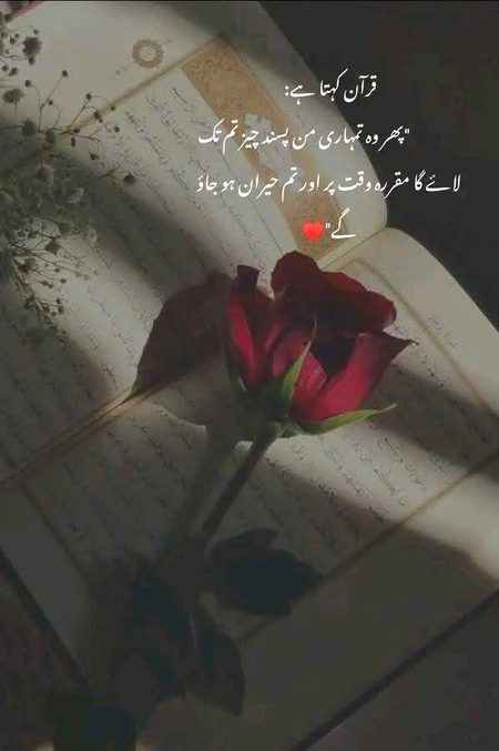 Islamic Quotes image