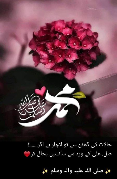 Islamic Quotes image