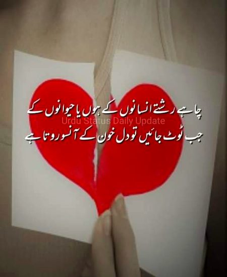 Sad Poetry image