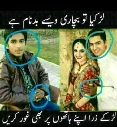 Memes & Satire image