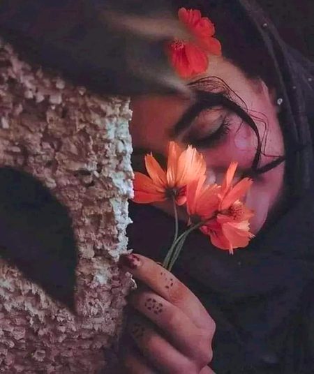 Beautiful Nature image