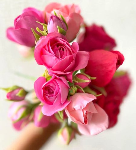 Beautiful Nature image