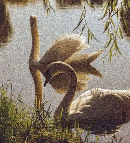 نہ صرف یہ دنیا فانی ہےیہاں موجود ہر رشتہ، 
ہر سامان فانی ہے، ہر ساتھ چھوٹ جانے والا ہے
🖤