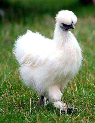 Beautiful Nature image