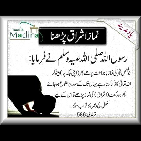 Islamic Quotes image