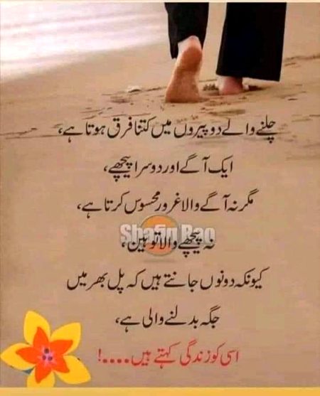 Beshaq🔥
