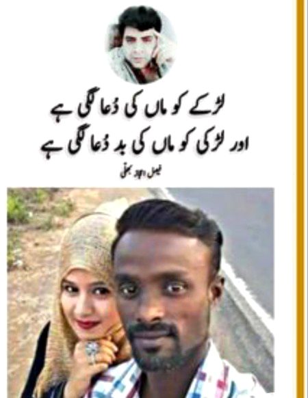 Memes & Satire image
