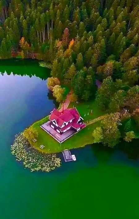 Beautiful Nature image