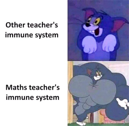 Memes & Satire image