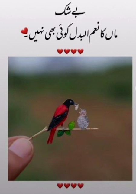 Beshak. . . . 🥀🥀🥀