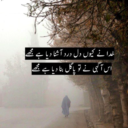 ... .... ...🍂🥀