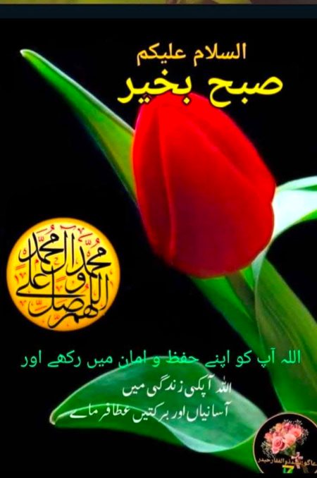 Asslam o alaikum
