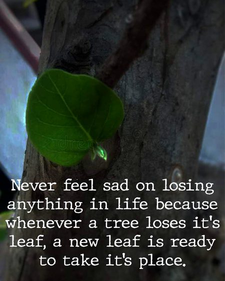 Motivational Quotes image