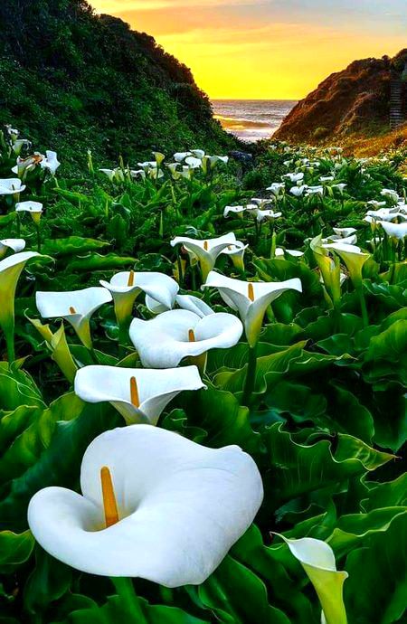 Beautiful Nature image