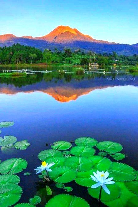 Beautiful Nature image