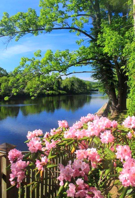Beautiful Nature image