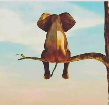 موجودہ دور میں جاہل سے بحث نہ کریں... اگر کوئ کہے کہ ہاتھی اڑتا ہے تو کہیں...
ہاں کل ہمارے گھر کی تار پہ بیٹھا تھا....😌✌