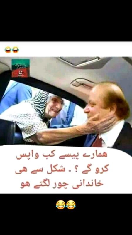 Memes & Satire image