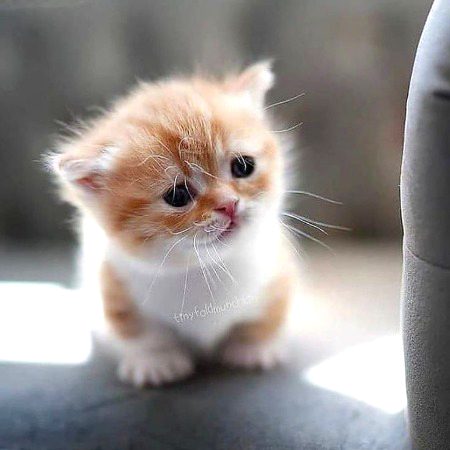 Beautiful Nature image