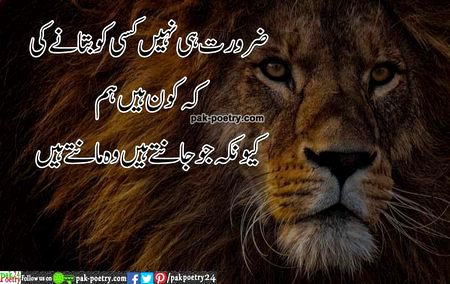 Attitude Quotes image