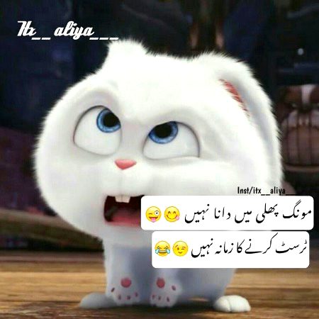 100% right 👍