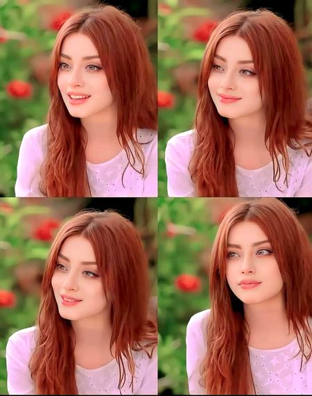 Pakistani Celebs image